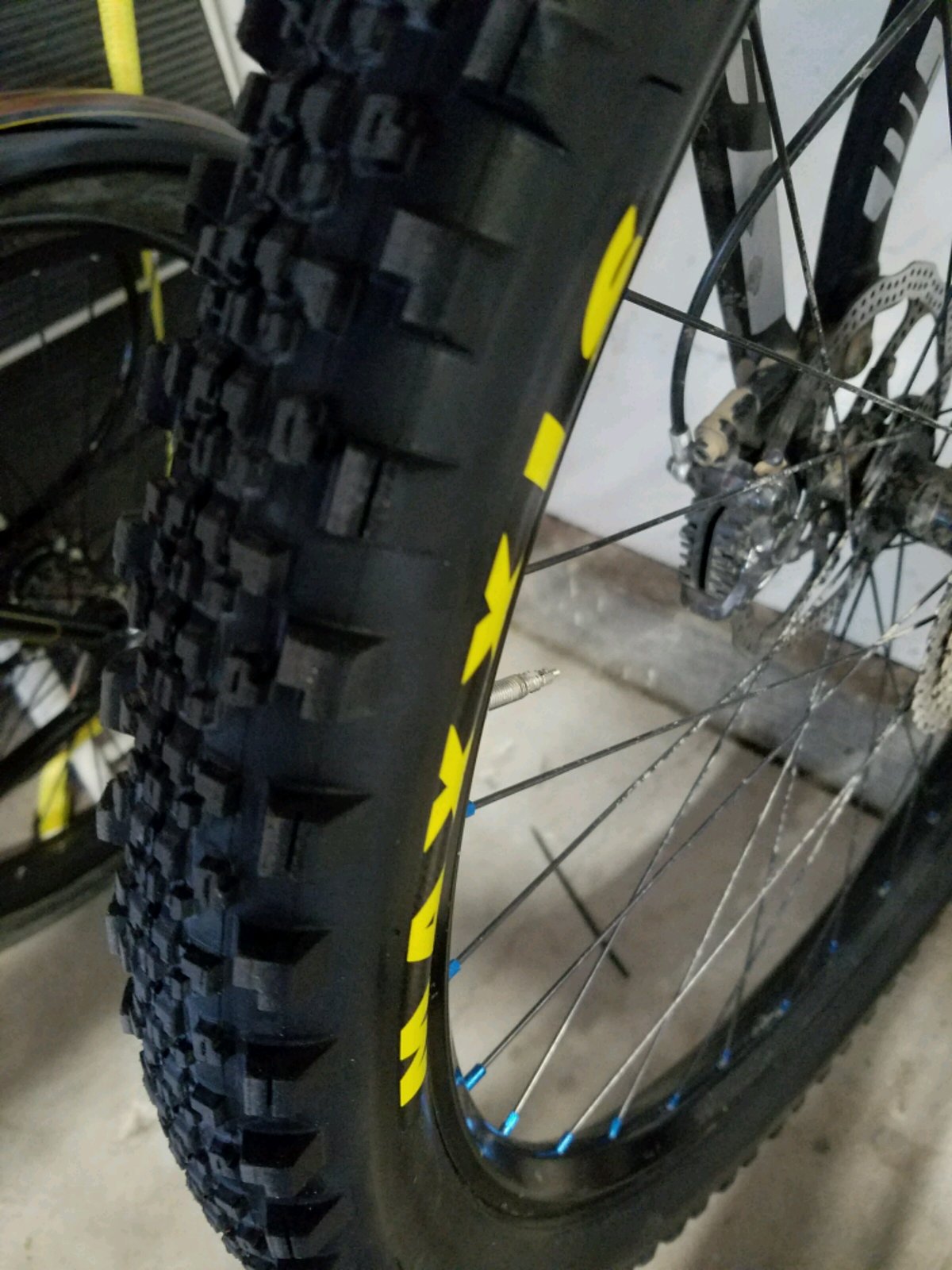 minion ss tire