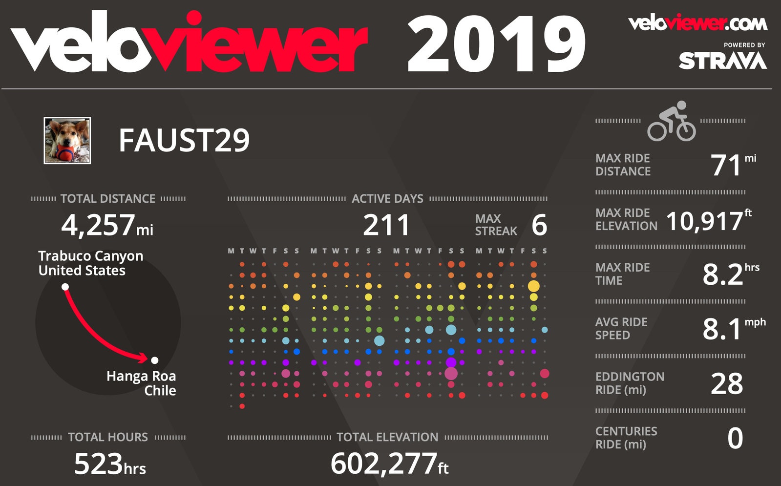 2019 Stats.jpg