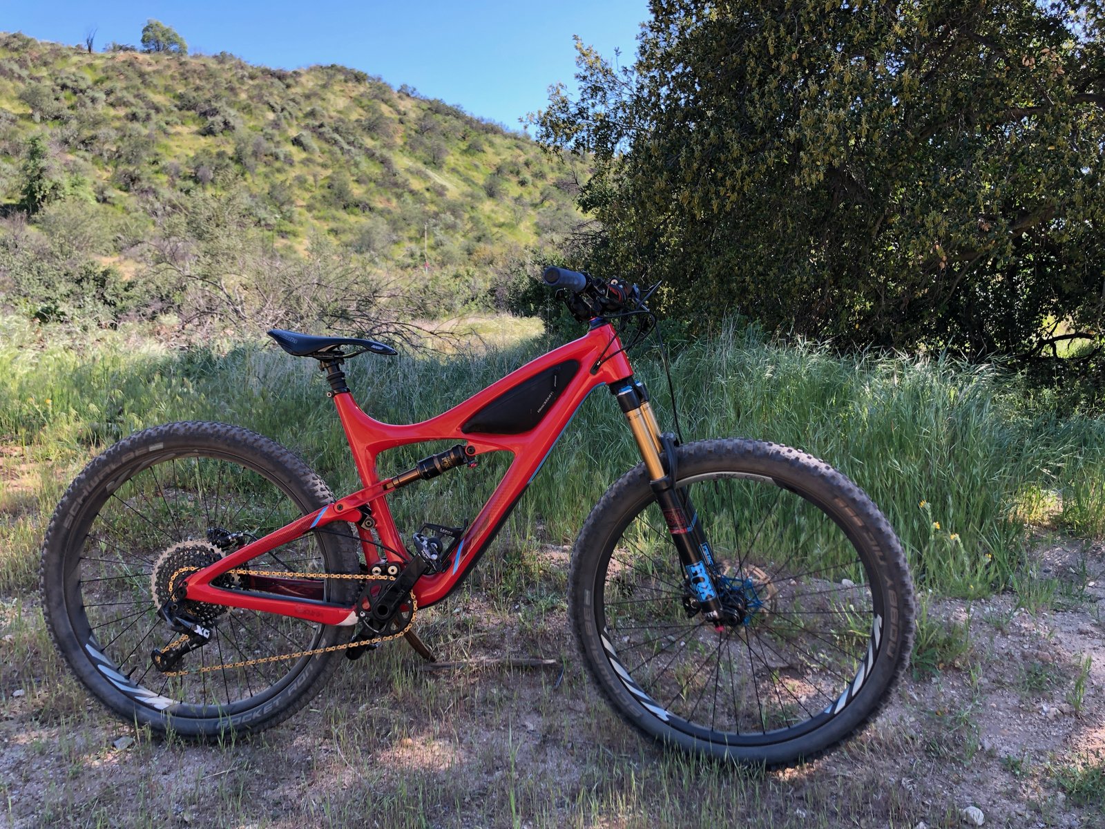 ibis mojo pork chop bag