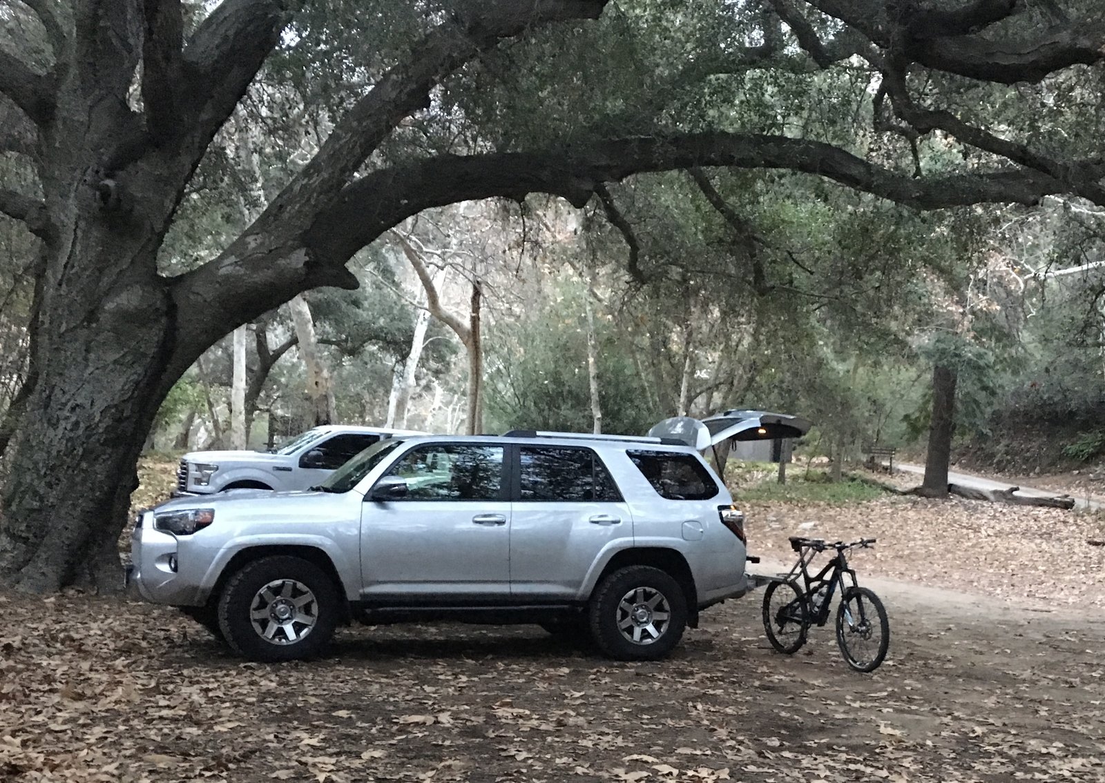 4 Runner.jpg