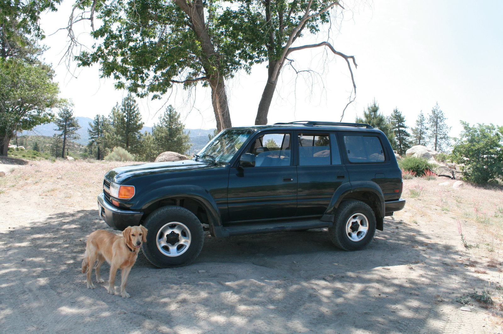 '94 Toyotoa Landcruiser.JPG