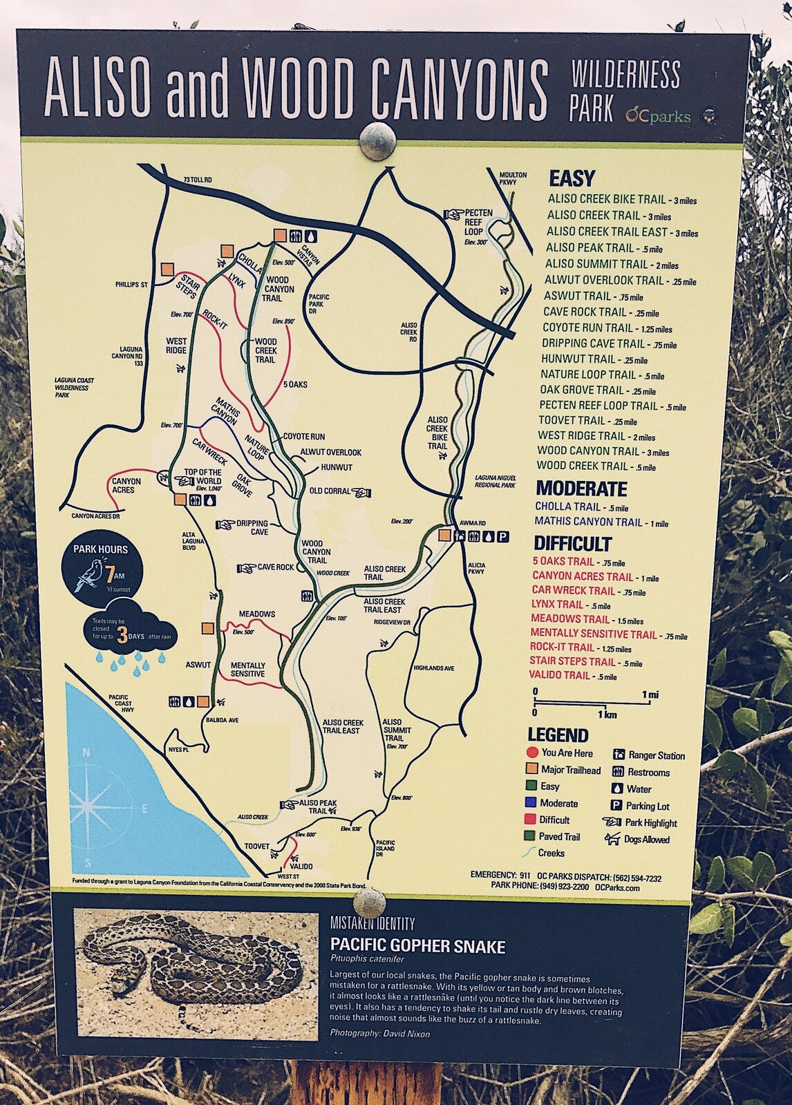 Aliso Map Photo.jpg