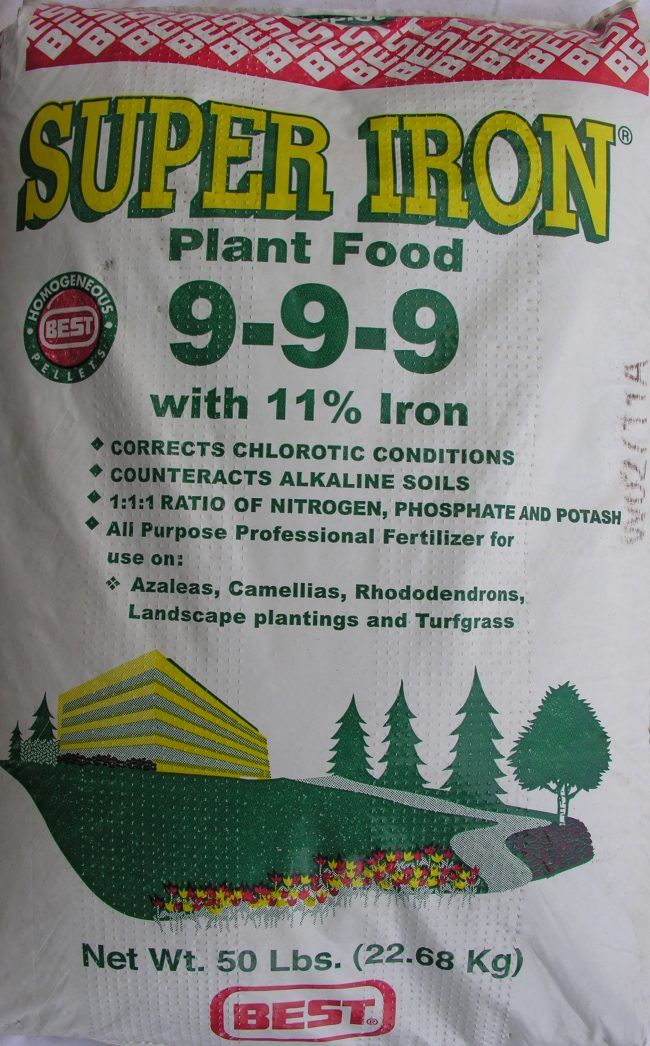 best-super-iron-plant-food-9-9-9-e1472146930832.jpg