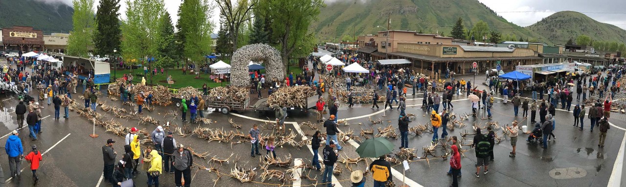 boy-scout-antler-auction-jackson-hole-1280x384.jpg