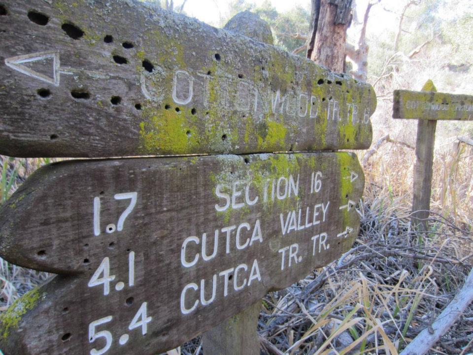 Cutca sign.jpg