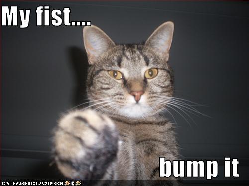 fist_bump_lolcats.jpe