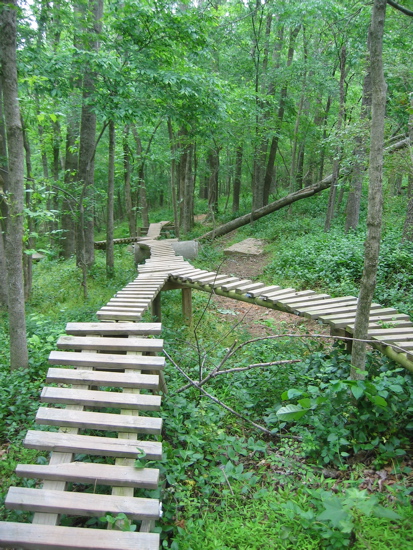 freeride-ladder-bridge.jpg