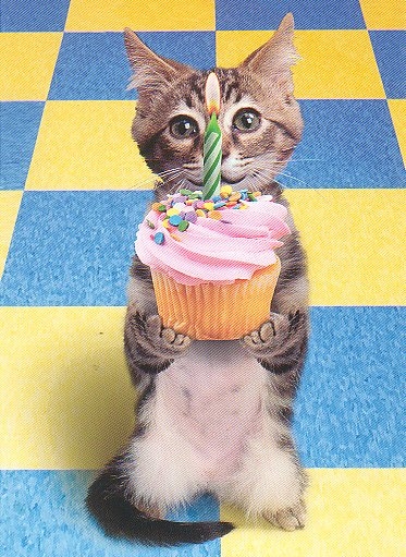 happy-birthday-from-kitty.jpg