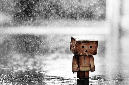 little-boy-in-the-rain1.jpg