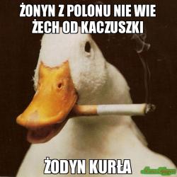 onyn-z-polonu-nie-wie-ech-od-kaczuszki-odyn-kura.jpg