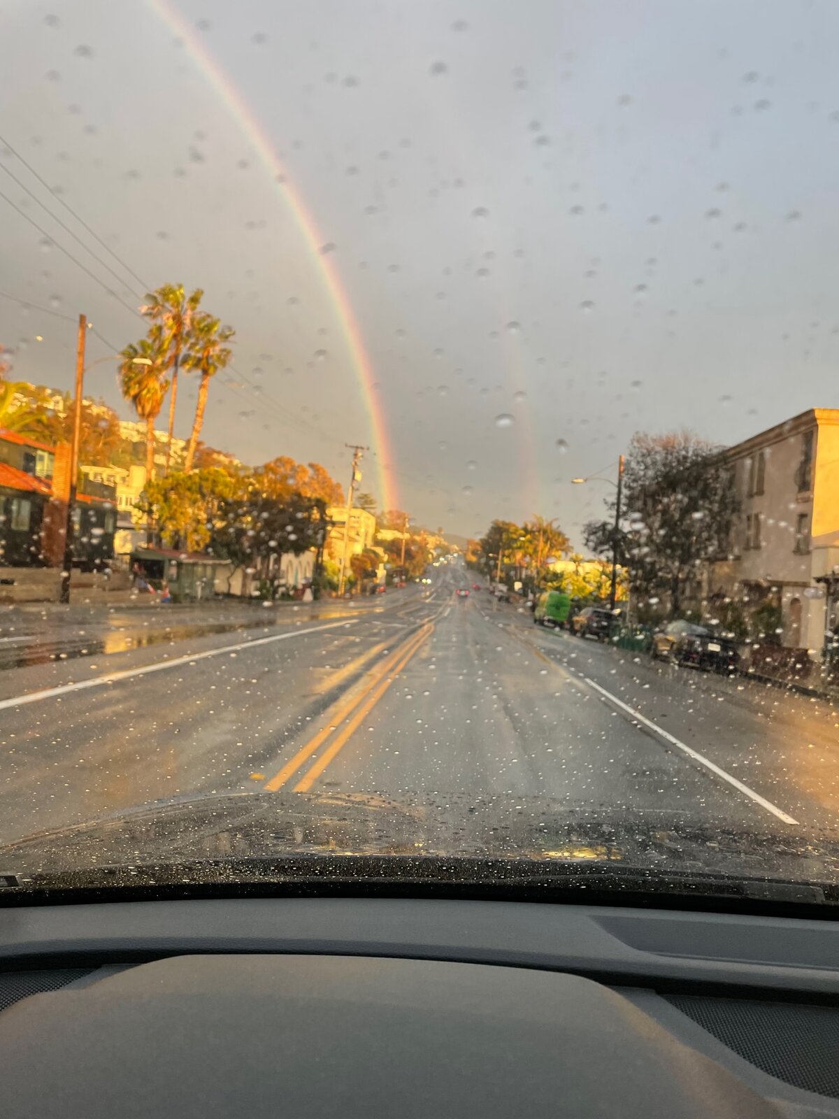 Rainbow 3-21-23.jpg