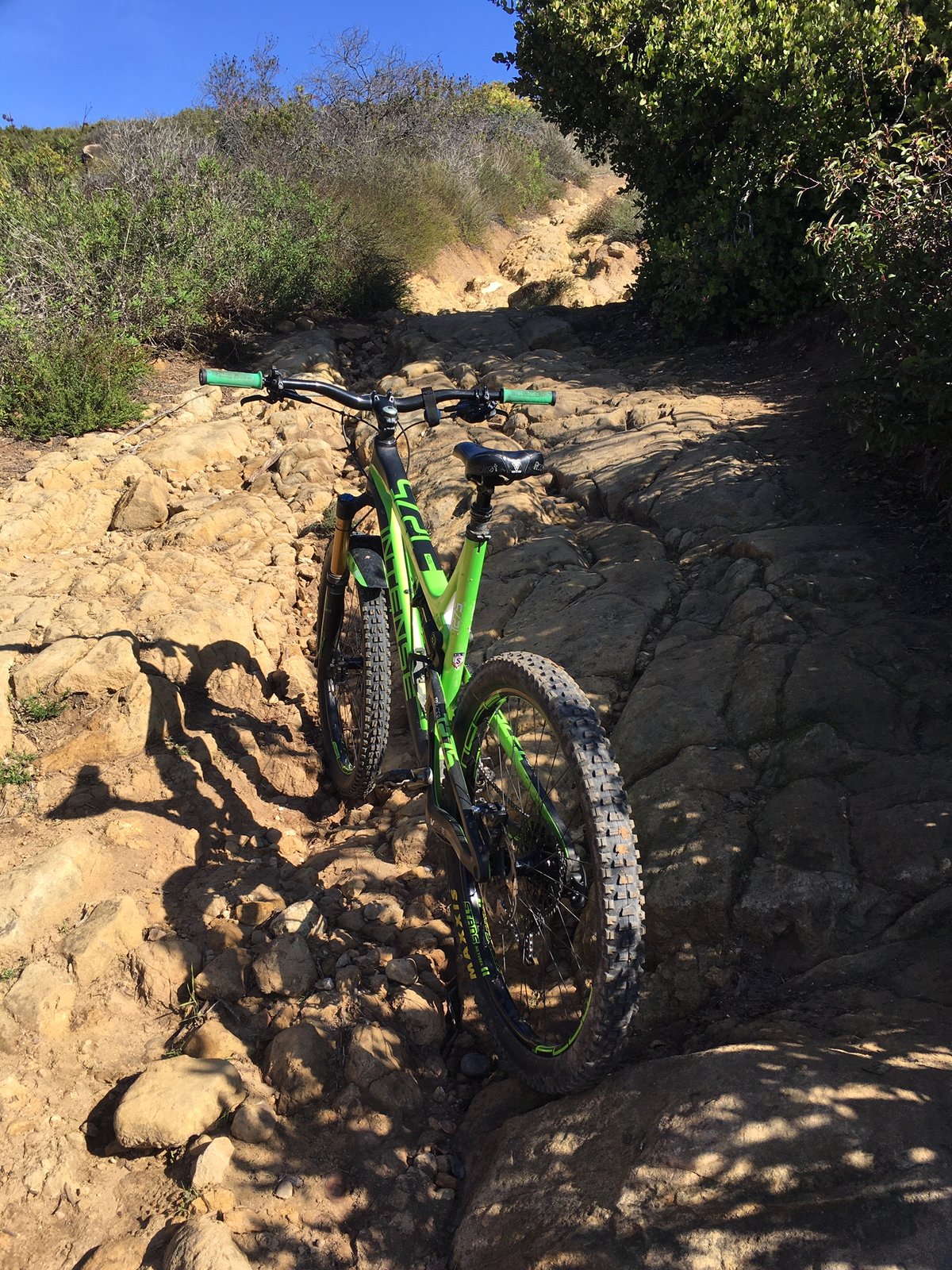 Rattlesnake Trail and Bike.JPG