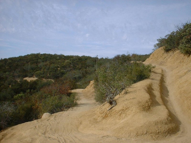 SanJuanTrail-30OCT01-06-AnUpperSwitchback.jpg