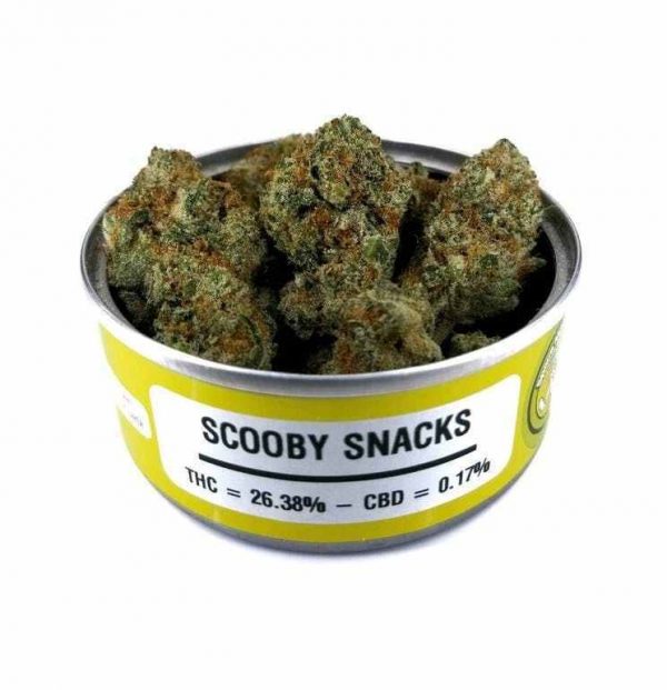 scooby-snacks-600x621.jpeg