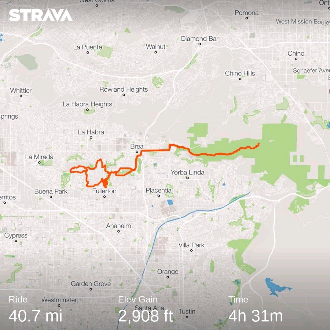 strava1107635708344686087.jpg