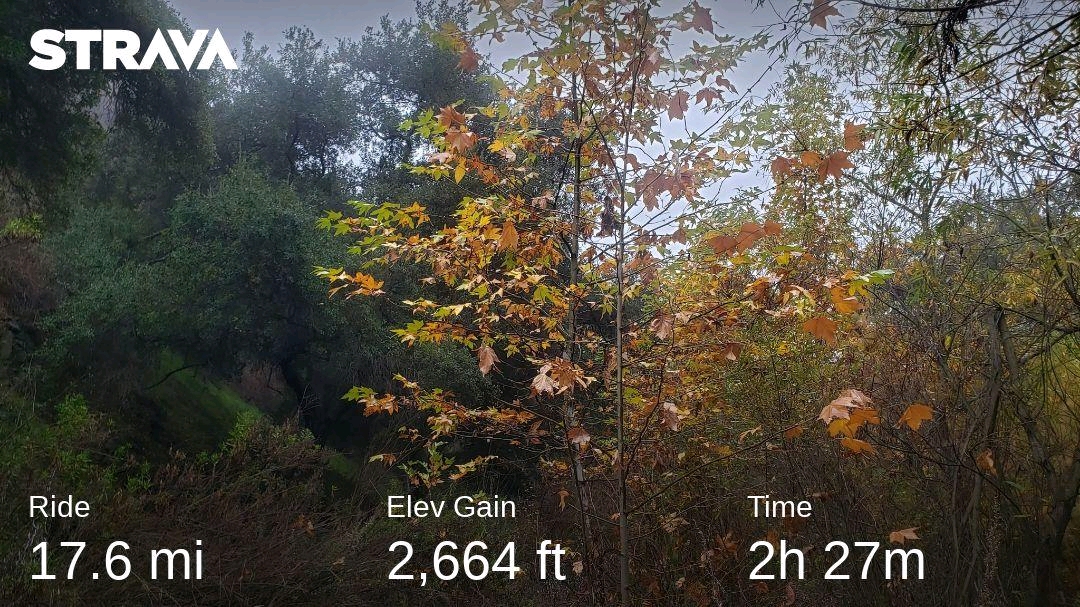 strava643205124378100420.jpg