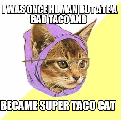 super.taco.cat.jpg