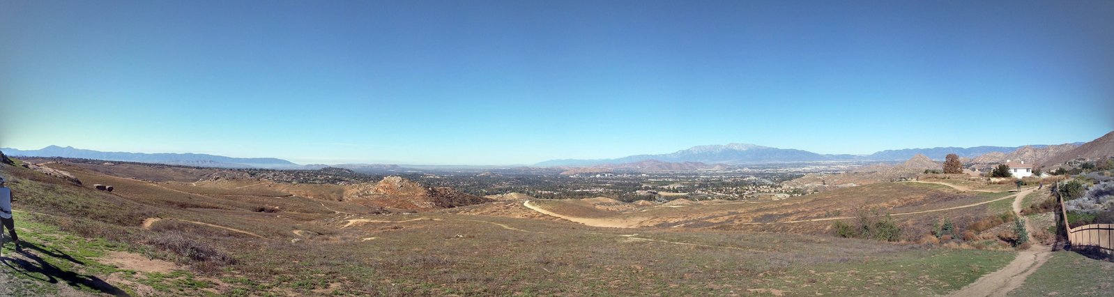 Sycamore Big Pano.jpg