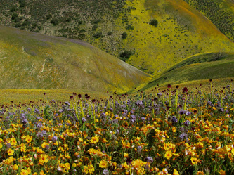 tour_de_los_padres_4890650.jpg