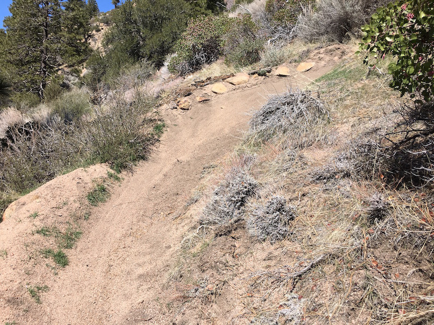 trail3.jpg