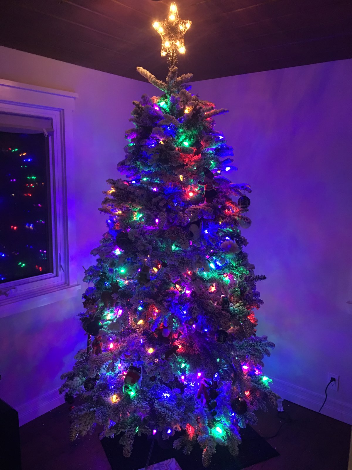 Tree 2018.JPG