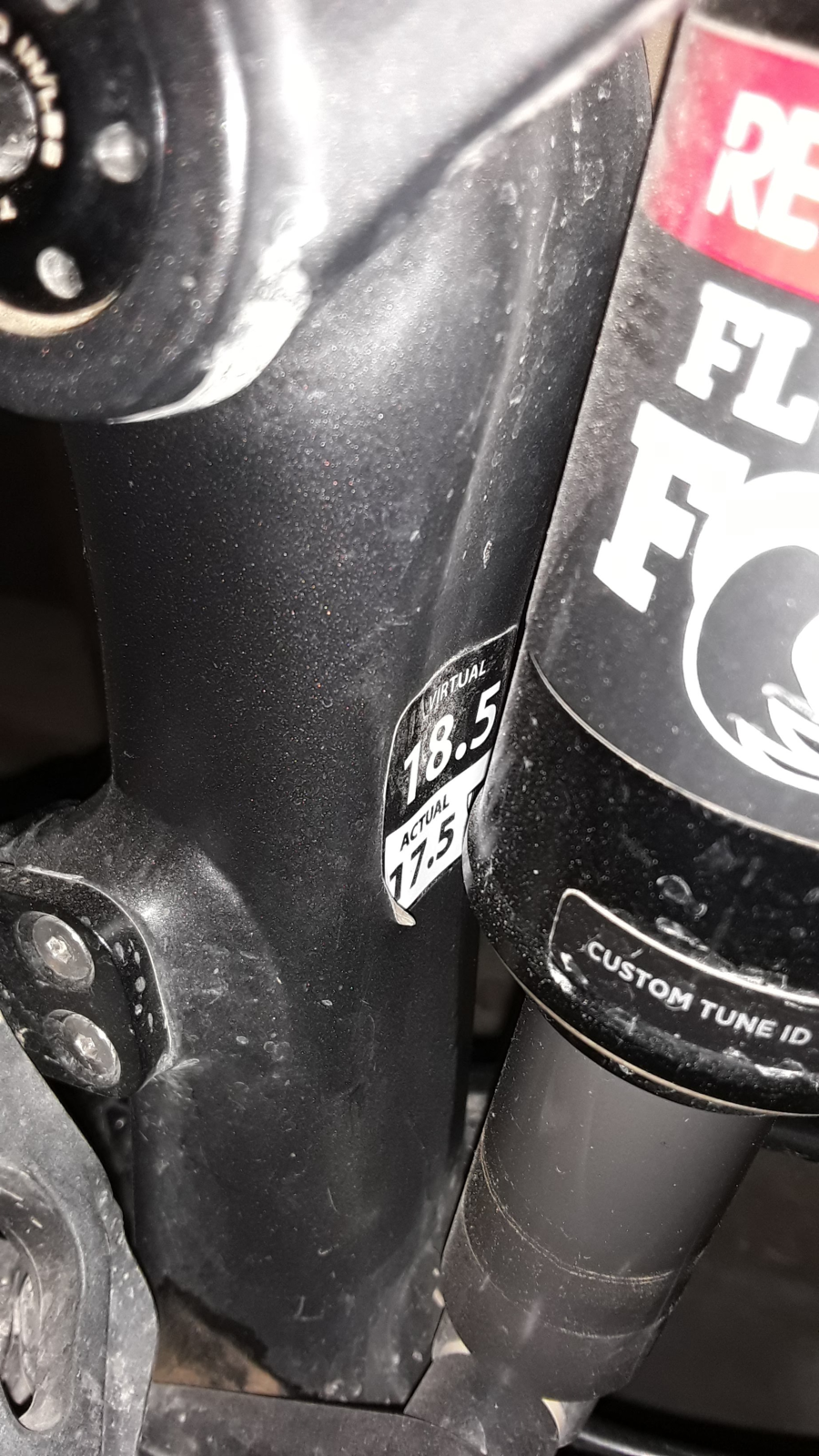 Trek fuel cheap ex 8 forum