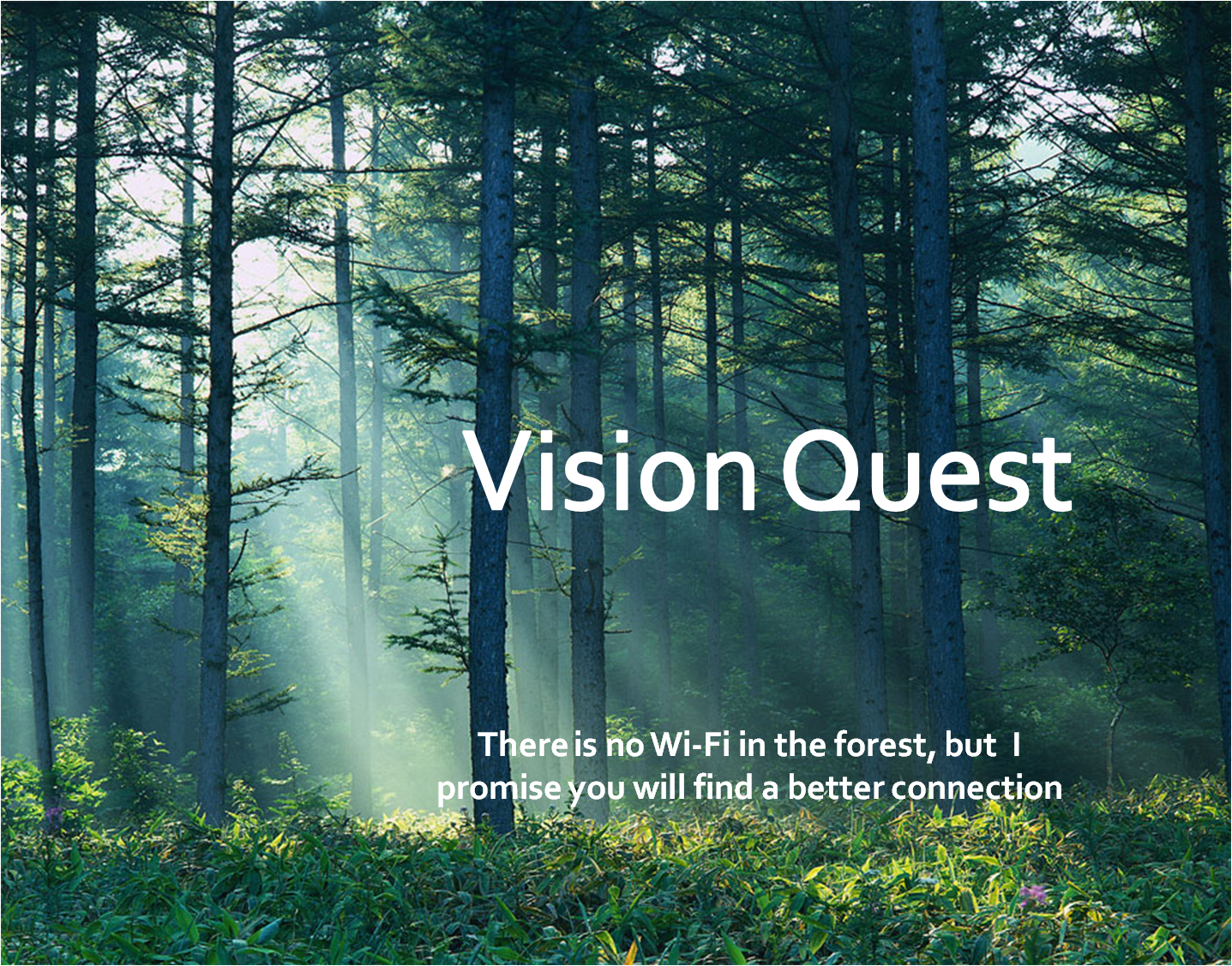 vision-quest_wordpress-page.png