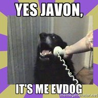 evdog